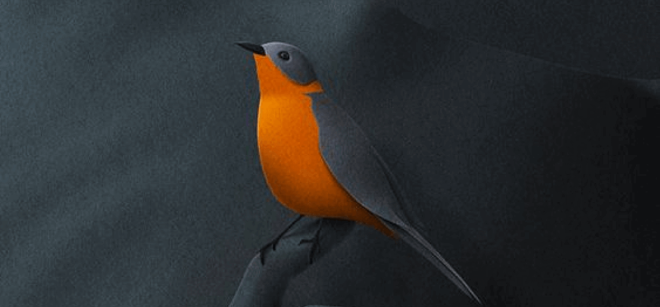 Tim Buana Kreatif Nusantara